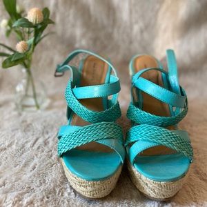Teal wedges